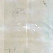 SUGAR オオスガのプロフィール画像