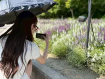 SEKINE KANAのプロフィール画像