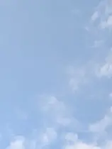 M.wish RIKO/リコのプロフィール画像