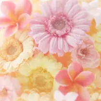 Re line megumiのプロフィール画像