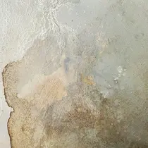 ecarg表参道🩰 saya 無料モデルのプロフィール画像