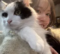 透明感カラー🧸艶髪 🫧manamiのプロフィール画像