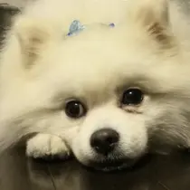 宮本 里奈のプロフィール画像