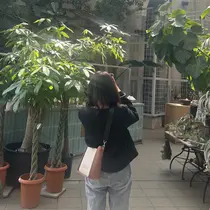 ゆみきの  このか︎︎のプロフィール画像