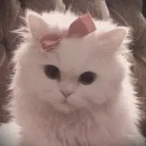 miku .のプロフィール画像