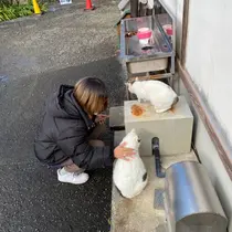 recon🌟 HINAのプロフィール画像