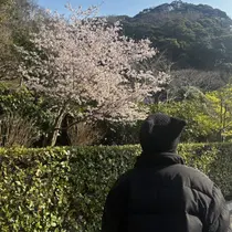 暖色カラー🔥 きっかのプロフィール画像