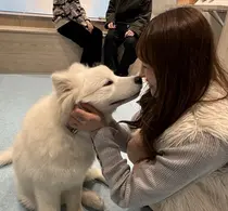 透明感×深み オリーブ🌿‬NAOのプロフィール画像
