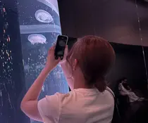 大宮 琴冬音のプロフィール画像