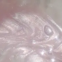 yume ⋆꙳𝜗𝜚꙳.*‬のプロフィール画像