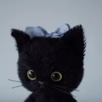 etora Shibuya🪽のプロフィール画像