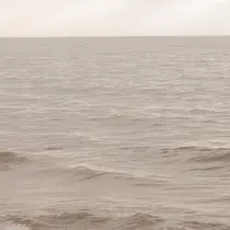 kawata sanaeのプロフィール画像