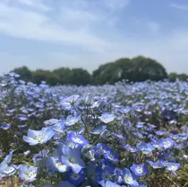 原田 萌のプロフィール画像