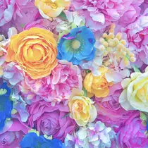 iku🌷 by 上福岡らんらんのプロフィール画像