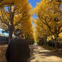 まるやま なつきのプロフィール画像