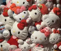 石川 萌香のプロフィール画像