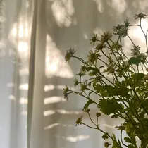 favori 金山 森岡のプロフィール画像