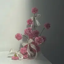 asami ⋆𐙚₊⊹のプロフィール画像