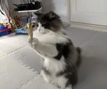 小野田 由美のプロフィール画像