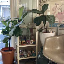 airRe Kotonoのプロフィール画像