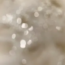 Sayaka 🫧のプロフィール画像