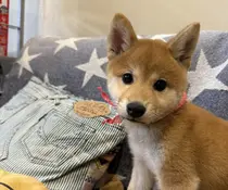 上須田 なえのプロフィール画像