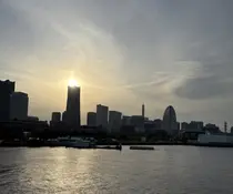 迎田 由貴のプロフィール画像