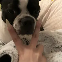 Bianca所沢店 Kawachiのプロフィール画像