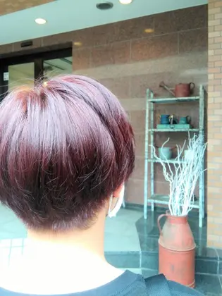 バージン毛にブリーチなしで 濃いめの赤を入れました Roa所属 豊田 美優のヘアカタログ ミニモ