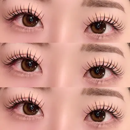 ロイヤルセーブルラッシュ　50ケース　まとめ売り マツエク シングル0.12 .Dカール まとめセット Rラッシュ