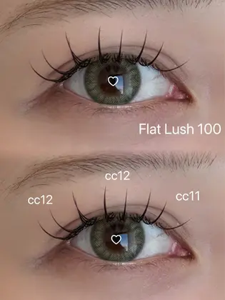 フラットラッシュ　予約ページ フラットラッシュ】2026年冬人気のフラットラッシュのデザインカタログ