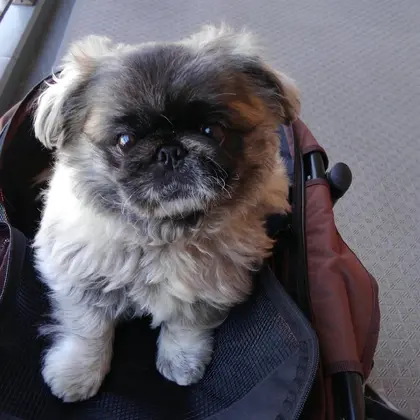 La Luce 北千住店のエステ リラクサロン スタッフ情報 菅野 成弥 ミニモ