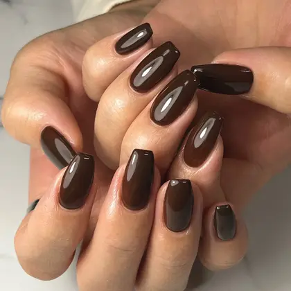 【No.11】フラッシュネイル ブラウン シンプル ワンカラー フラッシュワンカラーネイルチップ×ブラウン×シンプル×キラキラ