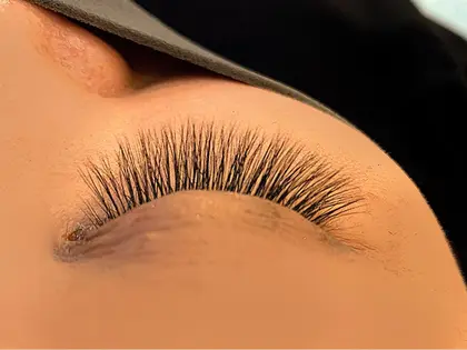 作家 スケルトン 再集計 セリナ マツエク Nationwidesamedaydeliveries Net