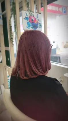 人気のハイトーンから ハーフバックス多摩境所属 坂本 勝美のヘアカタログ ミニモ