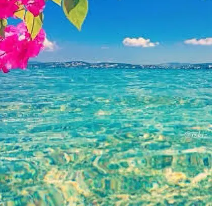 プロフィール写真