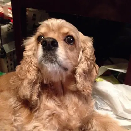 プロフィール写真