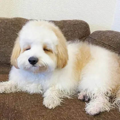 プロフィール写真