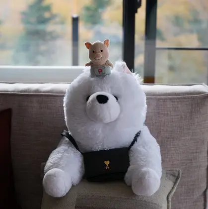 プロフィール写真