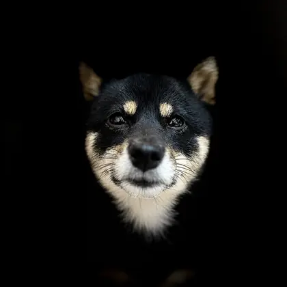 プロフィール写真