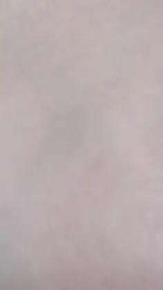 プロフィール写真