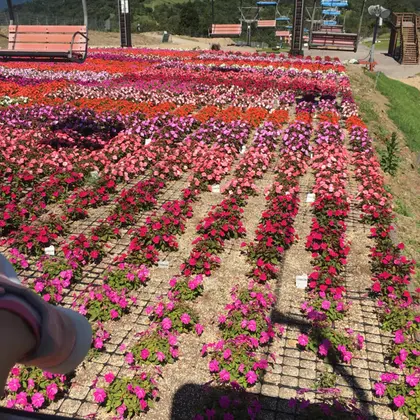 プロフィール写真