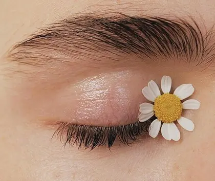 Neolive Quint 目黒区 のマツエクサロン情報 Minimo ミニモ