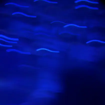 ココナッツネイル四ツ谷店