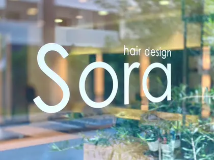 Sora hair design