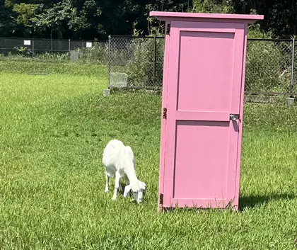 SOZO Hair Make GINZA