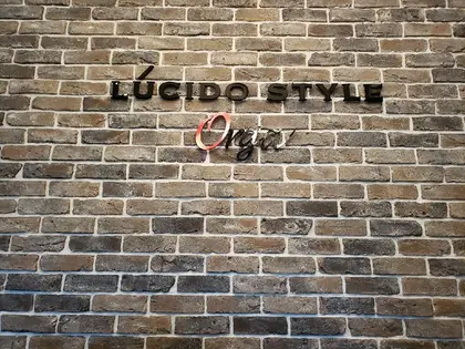 LUCIDO STYLE Orga