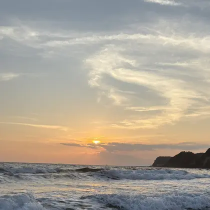 Olive’s by neolive