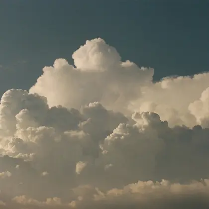 imaii  scaena×colore