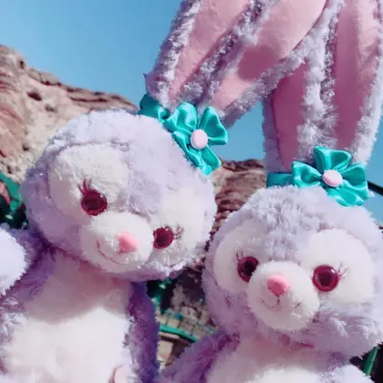 eyelash salon Veg.